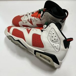 Jordan 6 Gatorades.